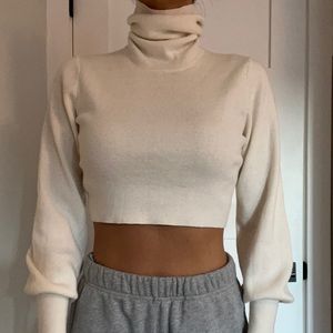 Aritzia Cropped Turtleneck